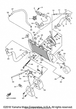 RADIATOR HOSE