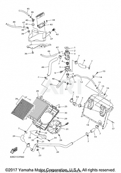 RADIATOR HOSE