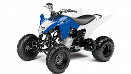 Yamaha Raptor 125 2012