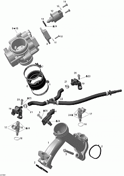 Intake Manifold And Throttle Body