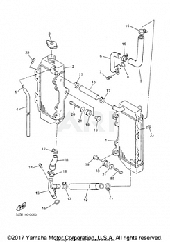 RADIATOR HOSE