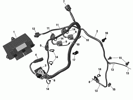 Electrical - Engine Harness / Electronic Module - 600 ACE