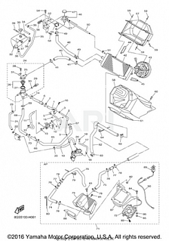 RADIATOR HOSE