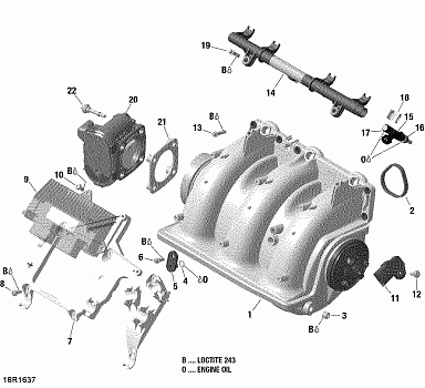 Air Intake Manifold And Throttle Body - 300