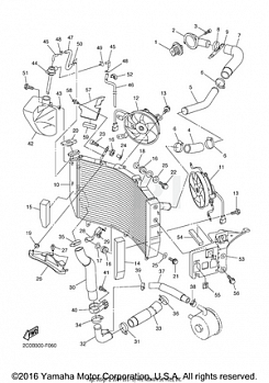 RADIATOR HOSE