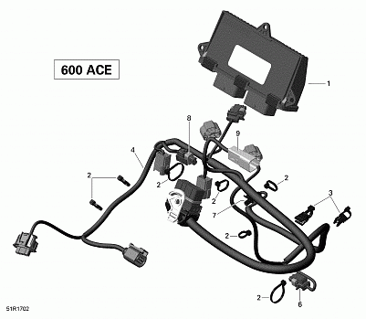 Engine Harness and Electronic Module - 600 ACE
