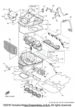 INTAKE