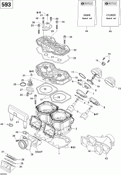 Cylinder, Exhaust Manifold, Reed Valve (593)