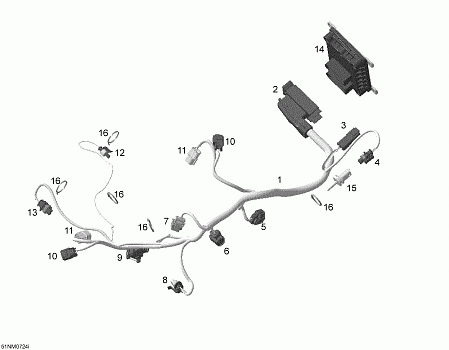 Engine Harness And Electronic Module