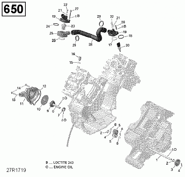 Engine Cooling - 650 EFI