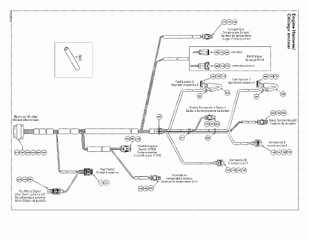 Engine Harness