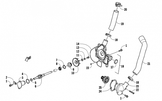 WATER PUMP AND THERMOSTAT