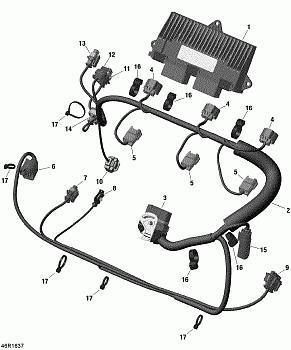 Engine Harness - 300