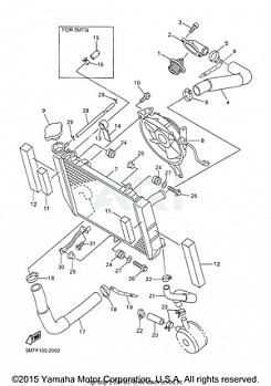 RADIATOR HOSE