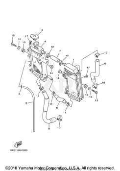 RADIATOR HOSE