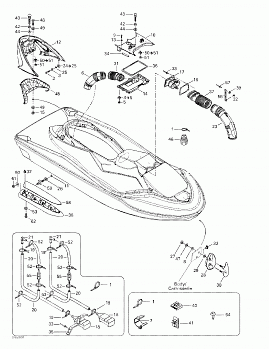 Body, Front View