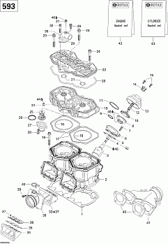 Cylinder, Exhaust Manifold, Reed Valve (593)