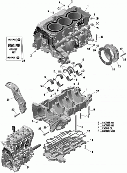 Engine - Crankcase - 900 ACE