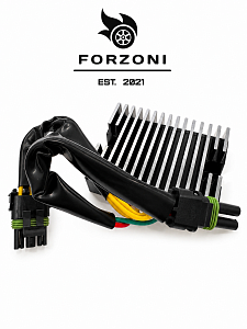 Реле-регулятор Forzoni FS-3025 (278001554, 278001241 )
