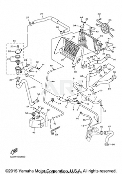 RADIATOR HOSE