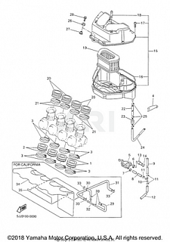 INTAKE