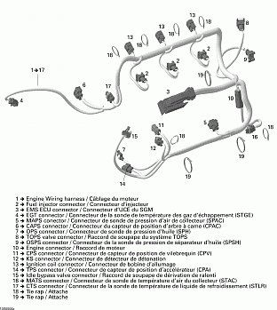 Engine Harness