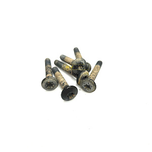 Болт Black Torx Screw M6 × 35 Can Am б.у 250000646_б.у