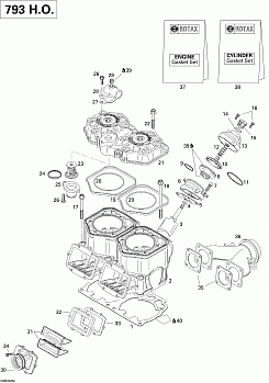 Cylinder, Exhaust Manifold, Reed Valve (793 HO)