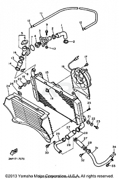 RADIATOR HOSE