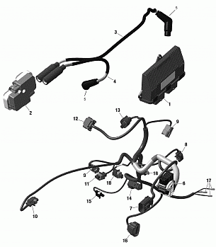 Engine Harness And Electronic Module - 322 - XT - XTP