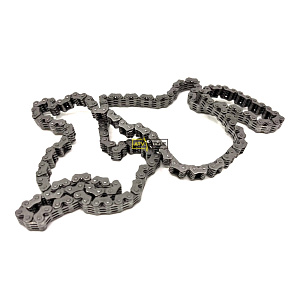 Цепь ГРМ  Can Am 420297085