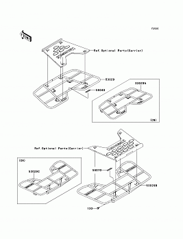 Carrier(s)