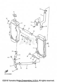 RADIATOR HOSE