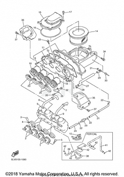 INTAKE