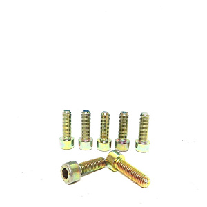 Болт М8х25 Can Am  205082544