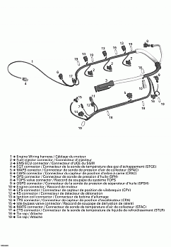 Engine Wiring Harness