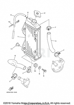 RADIATOR HOSE