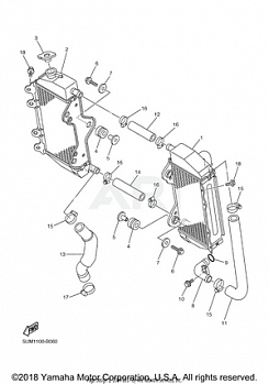 RADIATOR HOSE