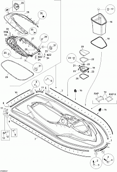 Body, Front View