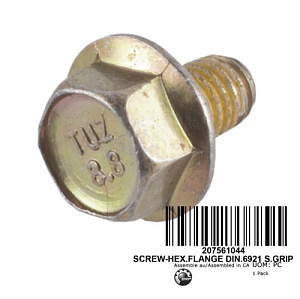 Болт M6 X 10 BRP 207561044