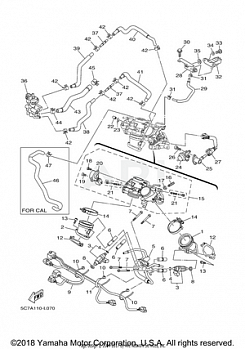 INTAKE