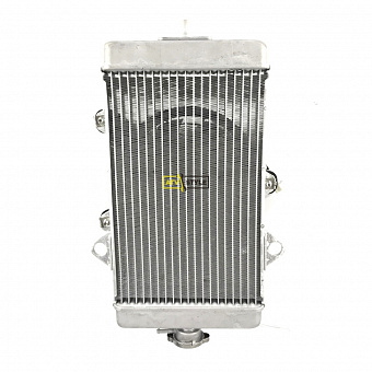 Радиатор Yamaha  1PE-WE246-00-00