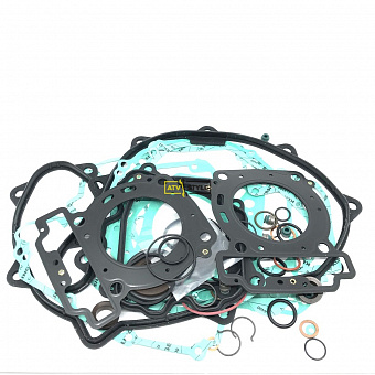 Комплект прокладок на двигатель Can Am 650  420684154