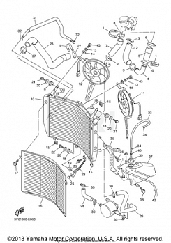 RADIATOR HOSE