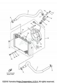 RADIATOR HOSE