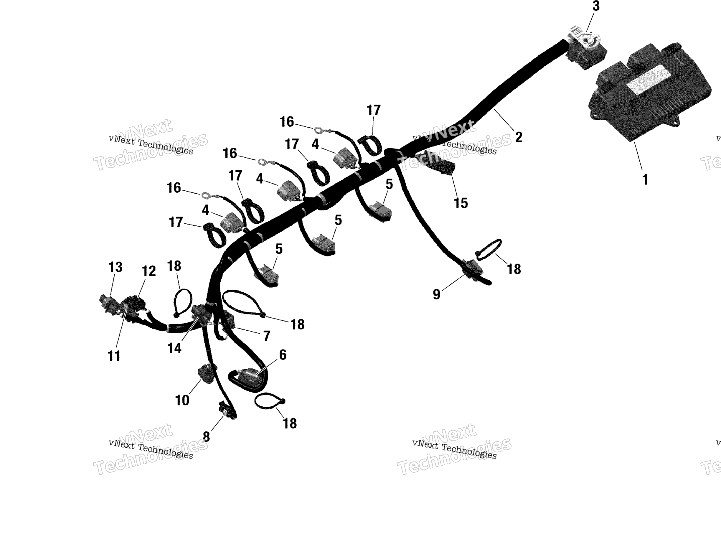 Rotax - Engine Harness And Electronic Module - Without Idf