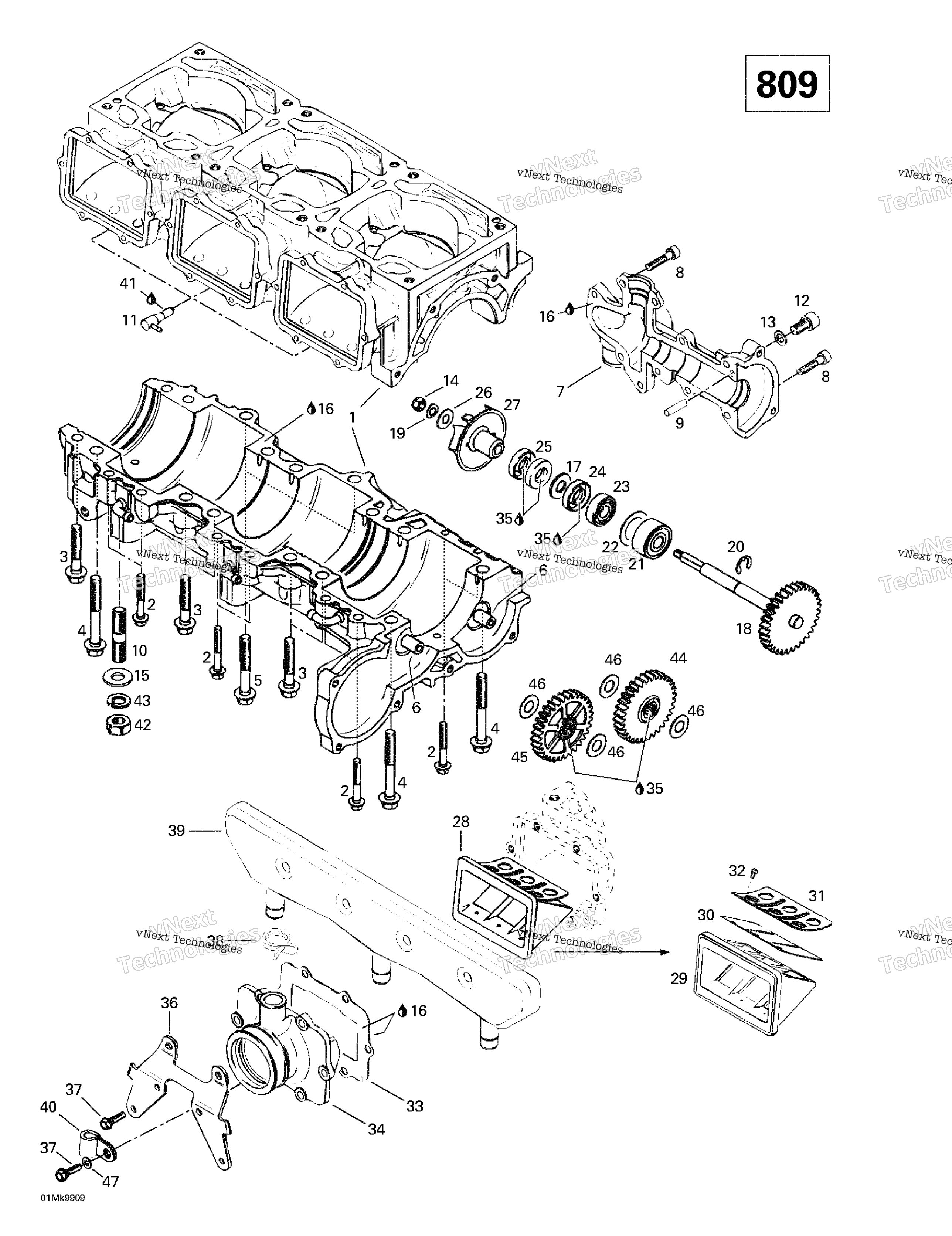 Crankcase, Reed Valve, Water насос (809)