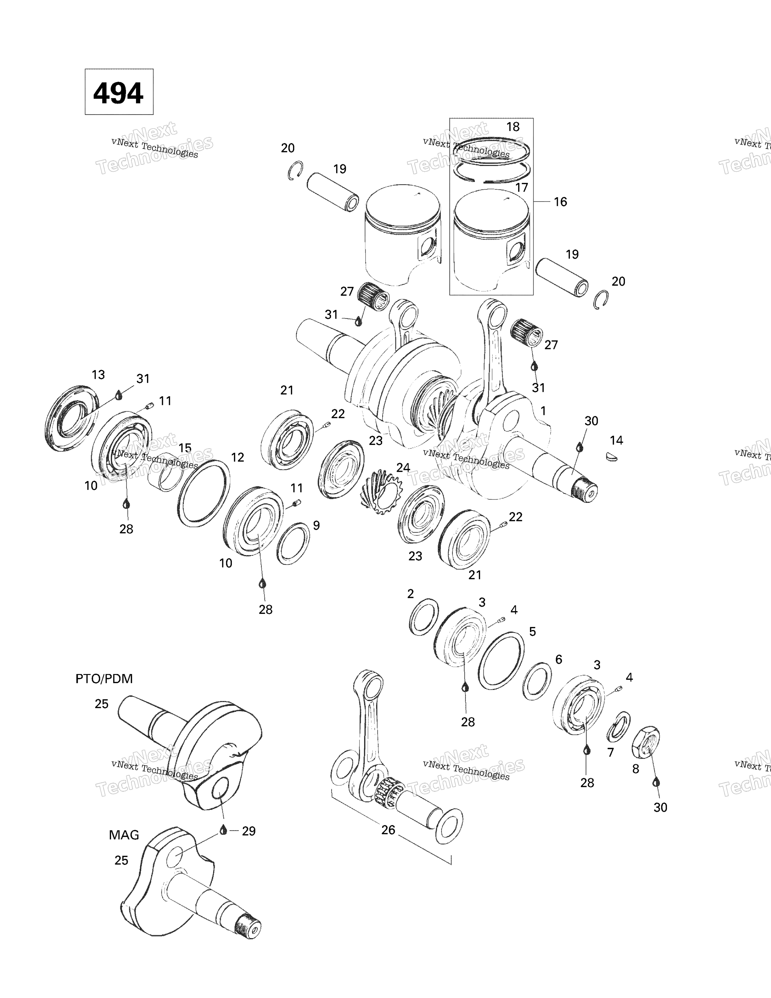 Коленчатый вал And Pistons (494)