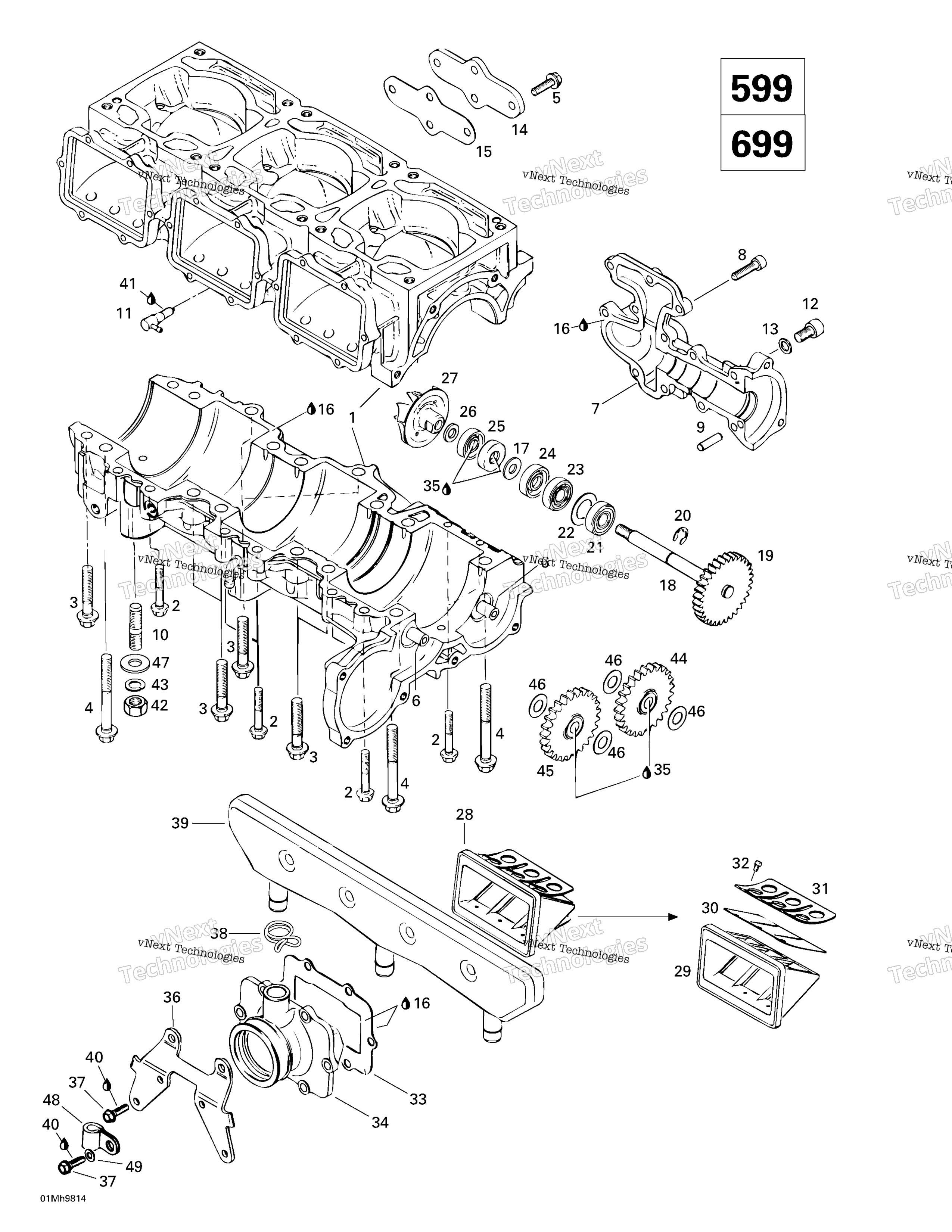 Crankcase, Reed Valve, Water насос (599, 699)