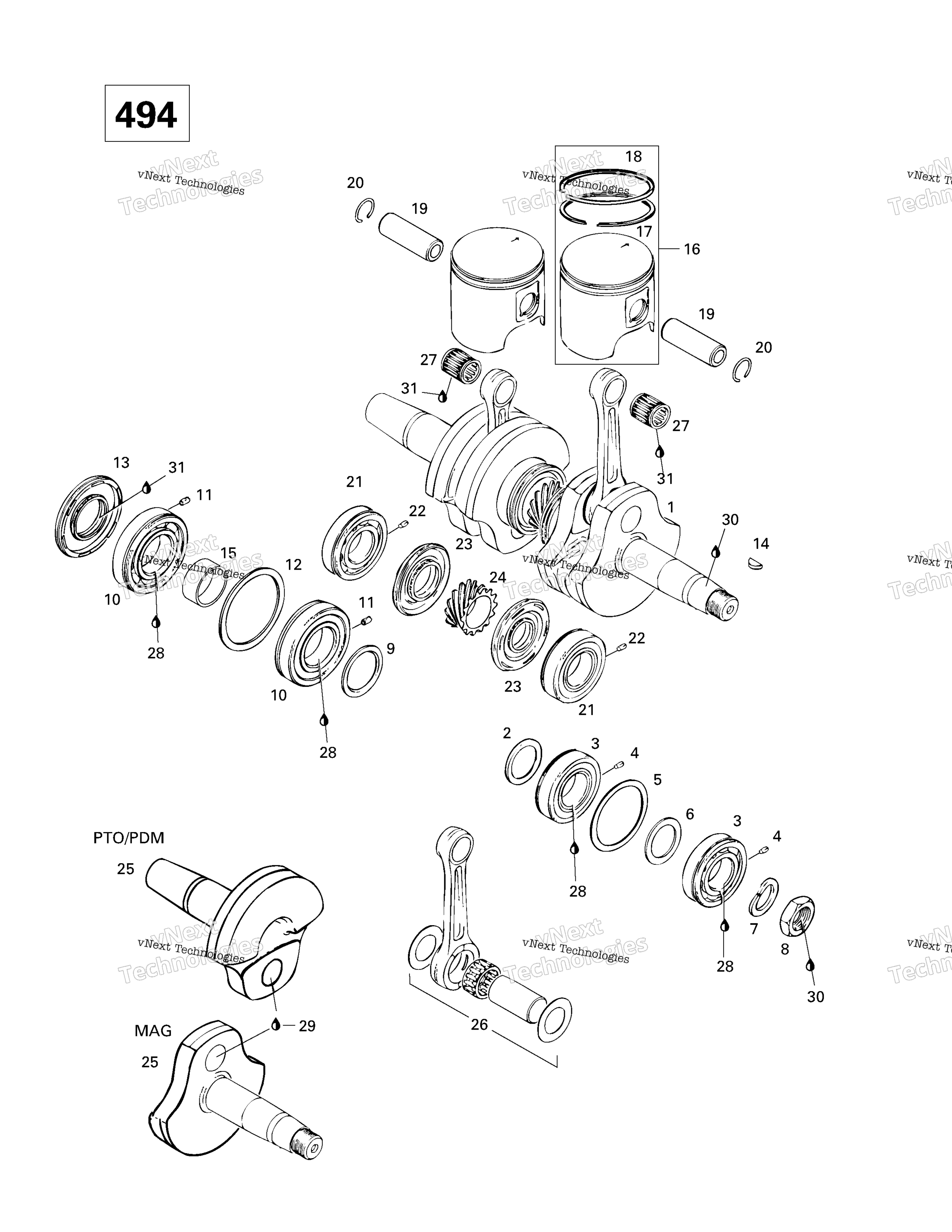 Коленчатый вал And Pistons (494)